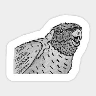 Happy Parrot Sticker